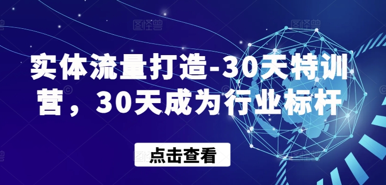 实体流量打造-30天特训营，30天成为行业标杆-代码轻学堂