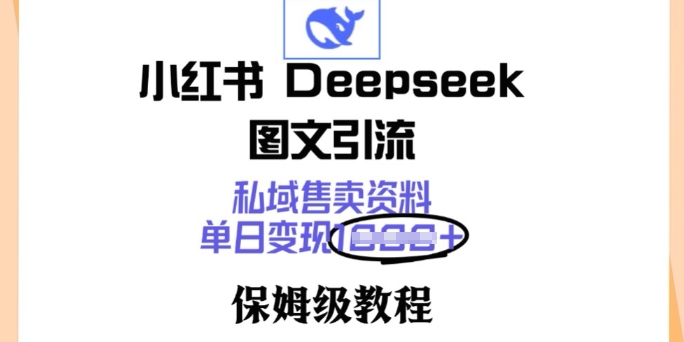 小红书Deepseek图文引流，私域售卖资料，单日变现多张，保姆级教程-代码轻学堂