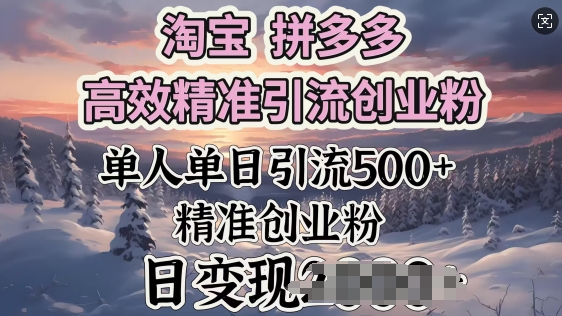淘宝拼多多高效精准引流创业粉，单人单日引流500+创业粉，日变现多张-代码轻学堂