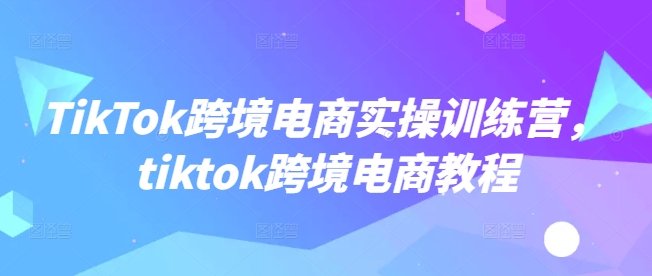 TikTok跨境电商实操训练营，tiktok跨境电商教程-代码轻学堂