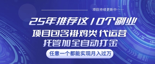 25年推荐这10个副业项目包含褂鸡类、代运营托管类、全自动打金类【揭秘】-代码轻学堂