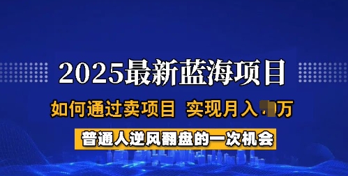 2025蓝海项目，普通人如何通过卖项目，实现月入过W，全过程【揭秘】-代码轻学堂