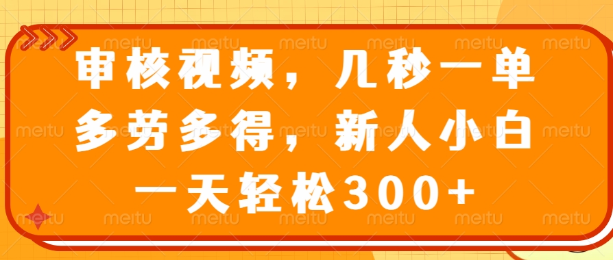 （14294期）审核视频，几秒一单，多劳多得，新人小白一天轻松300+-代码轻学堂