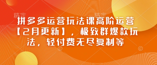 拼多多运营玩法课高阶运营【2月更新】，极致群爆款玩法，轻付费无尽复制等-代码轻学堂