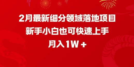 2月最新细分领域落地项目，新手小白也可快速上手，月入1W-代码轻学堂