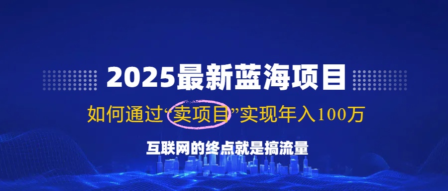 （14305期）2025最新蓝海项目，零门槛轻松复制，月入10万+，新手也能操作！-代码轻学堂